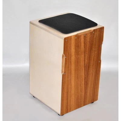 МОЗЕРЪ CJTW 2 кахон со струнами