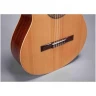 Классическая гитара 4/4 ALTAMIRA N100+