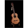Классическая гитара 4/4 ALTAMIRA N200+