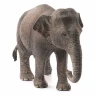 Фигурка Schleich Азиатский слон, самка