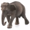 Фигурка Schleich Азиатский слон, самка