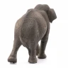 Фигурка Schleich Азиатский слон, самка
