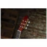 Гитара классическая 4/4 PEAVEY CNS-2