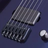 SCHECTER HELLRAISER HYBRID PT UV электрогитара