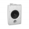 Акустическая система TANNOY DVS 8T WH всепогодная
