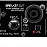 Басовый усилитель TC electronic BH250 с эффектами и тюнером