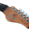 SCHECTER NICK JOHNSTON TRAD H/S/S AFST электрогитара
