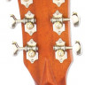 ARIA-501 N акустическая гитара с кейсом