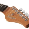 SCHECTER NICK JOHNSTON TRAD H/S/S AGRN электрогитара