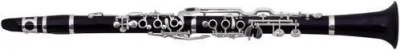 Кларнет Bb ROY BENSON CG-521 немецкой системы