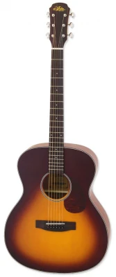 ARIA-101 MTTS акустическая гитара