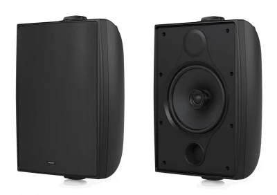 Акустическая система пассивная Tannoy DVS 6T двухполосная