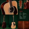 Sigma DMR-4 акустическая гитара