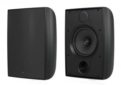 Акустическая система пассивная Tannoy DVS 8 двухполосная