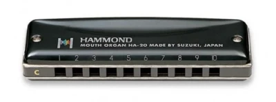 Губная гармошка диатоническая SUZUKI HA-20 F (49630) Richter Modular System