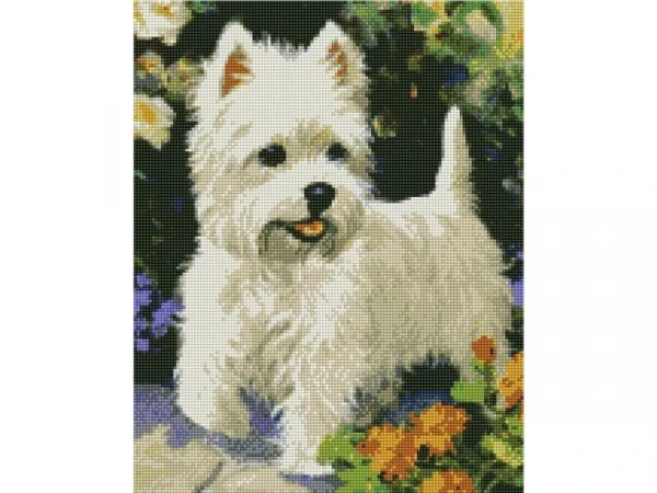 Алмазная мозаика с нанесенной рамкой 40х50 БЕЛЫЙ ТЕРЬЕР  (22 цвета)