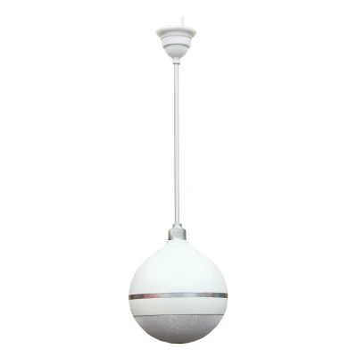 Громкоговоритель потолочный подвесной SVS Audiotechnik BWS-603 для Public Address белый