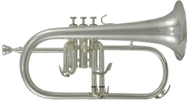 Флюгельгорн ROY BENSON FH-302S Bb серебристого цвета