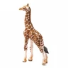 Фигурка Schleich Детеныш жирафа