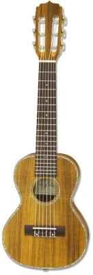 ARIA ATU-180/6 K гиталеле с чехлом