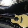 Applause AB2412-4 Balladeer Mid Cutaway Natural электроакустическая гитара