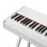Цифровое фортепиано EMILY PIANO  D-47 WH