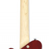 PIGNOSE PGG-200FM SR электрогитара
