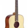 JAMES NELIGAN LIS-D акустическая гитара
