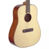 JAMES NELIGAN LIS-D акустическая гитара