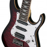 SCHECTER BANSHEE-7 EXTREME BCHB 7-струнная электрогитара