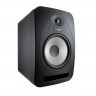 Монитор ближнего поля Tannoy REVEAL 802 активный