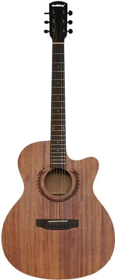 BULLDOG WS-Delta 3 акустическая гитара