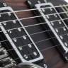 SCHECTER C-1 EXOTIC TREM EBONY электрогитара