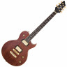 Aria PE-TR-1 G электрогитара