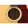 O-Port для усиления акустических данных гитары PLANET WAVES PW-OPWHL Large Size