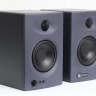 Мультимедиа мониторы AuraSonics KN4BT активные (пара)