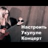 D'ADDARIO EJ53C струны для укулеле-концерт